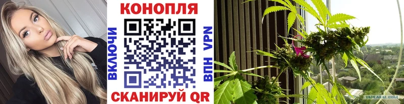 Купить наркотик аптеки Куровское ГАШИШ СК МЕФ Псилоцибиновые грибы Cocaine Каннабис