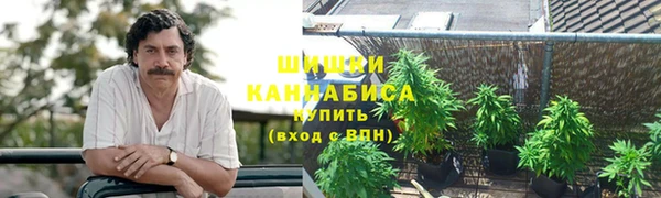 мдпв Заводоуковск