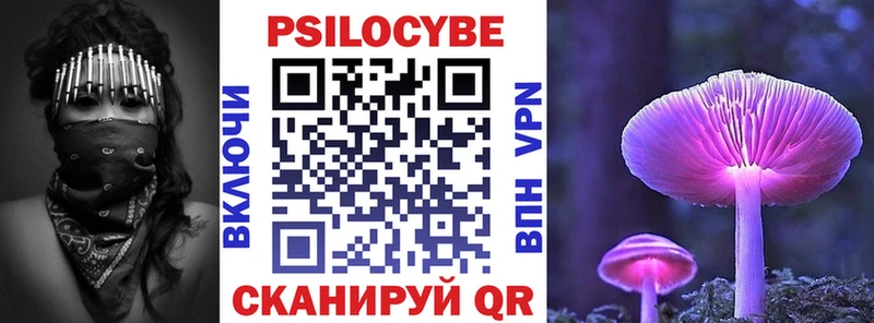 где найти   Куровское  Псилоцибиновые грибы MAGIC MUSHROOMS 